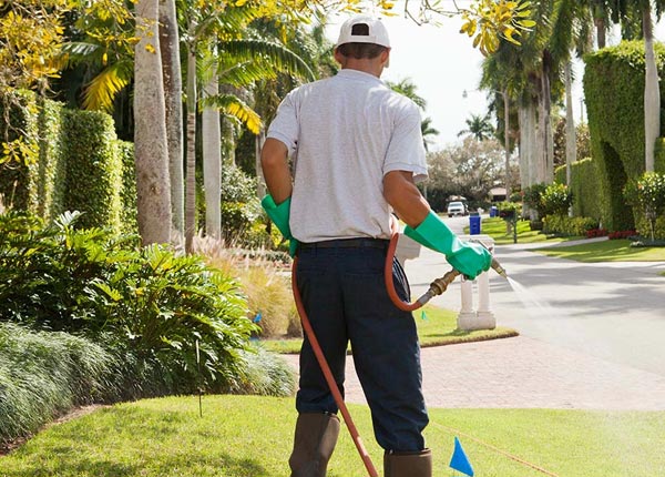 About Briggs TX Pest Control